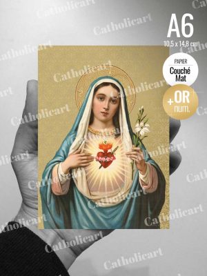 Carte Coeur Immaculé de Marie à la fleur de lys